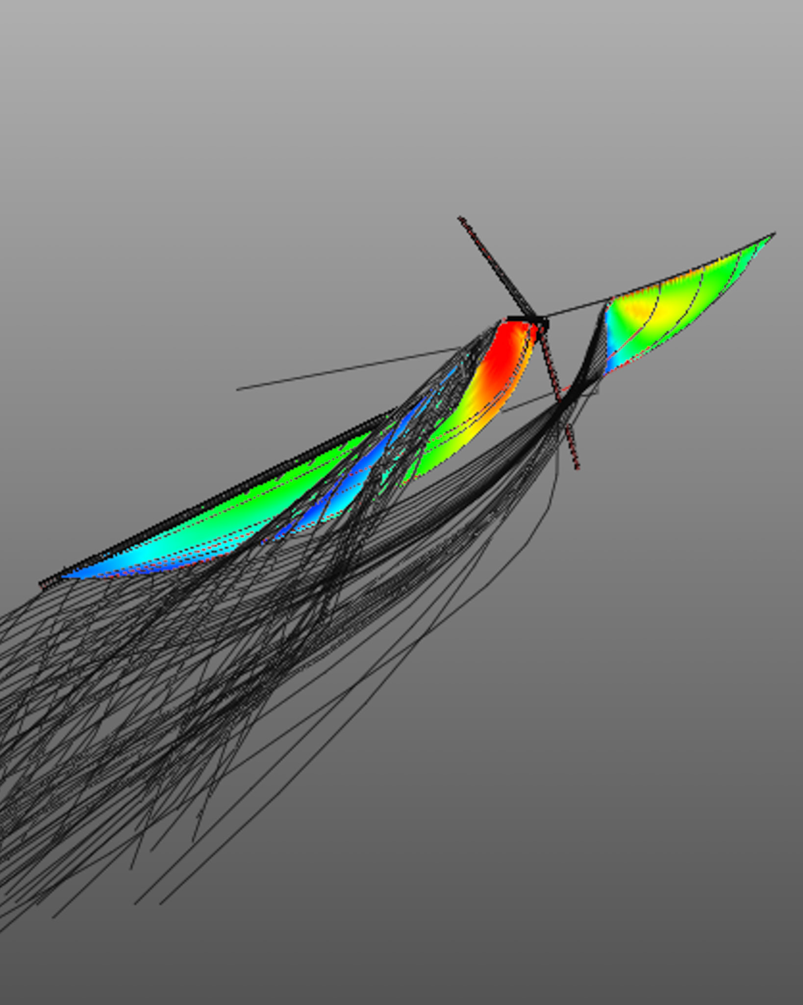 FSI Simulation for the Star Class Sail developement